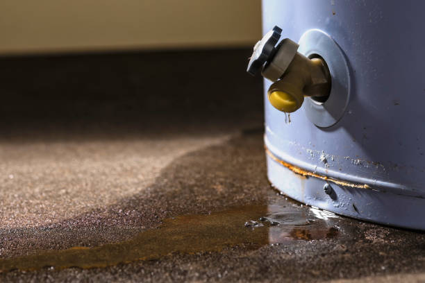 Best 24-hour water damage restoration  in Lumbine Valley, CO