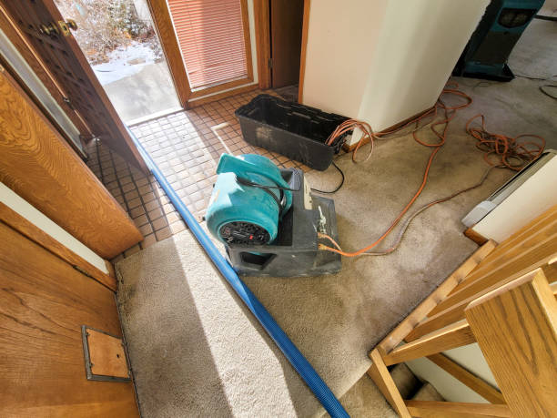 Best Emergency water damage restoration  in Lumbine Valley, CO