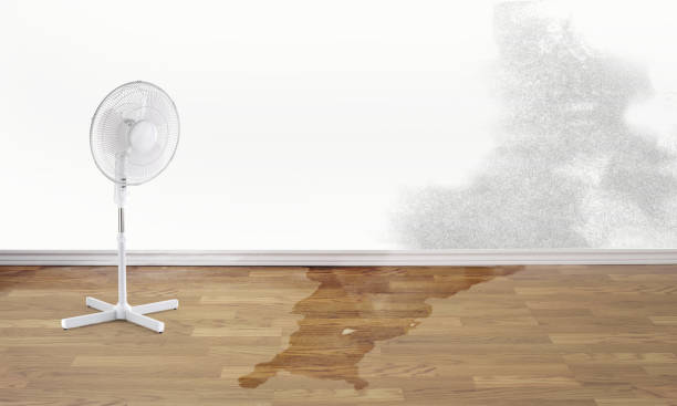 Best Commercial water damage restoration  in Lumbine Valley, CO