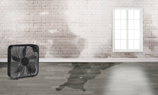Best 24/7 water damage repair  in Lumbine Valley, CO