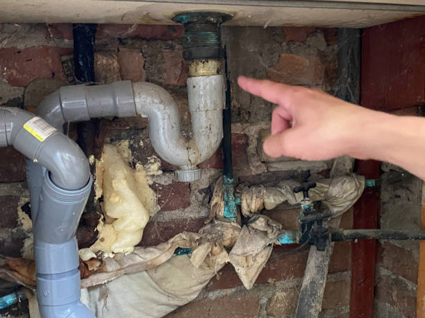 Best Professional water damage repair  in Lumbine Valley, CO
